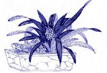 中国传统中的其他吉祥图案(续3)|